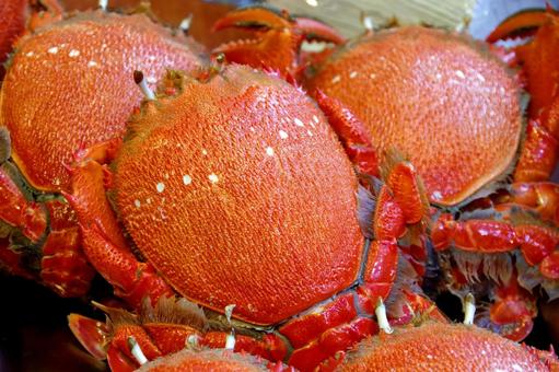crab