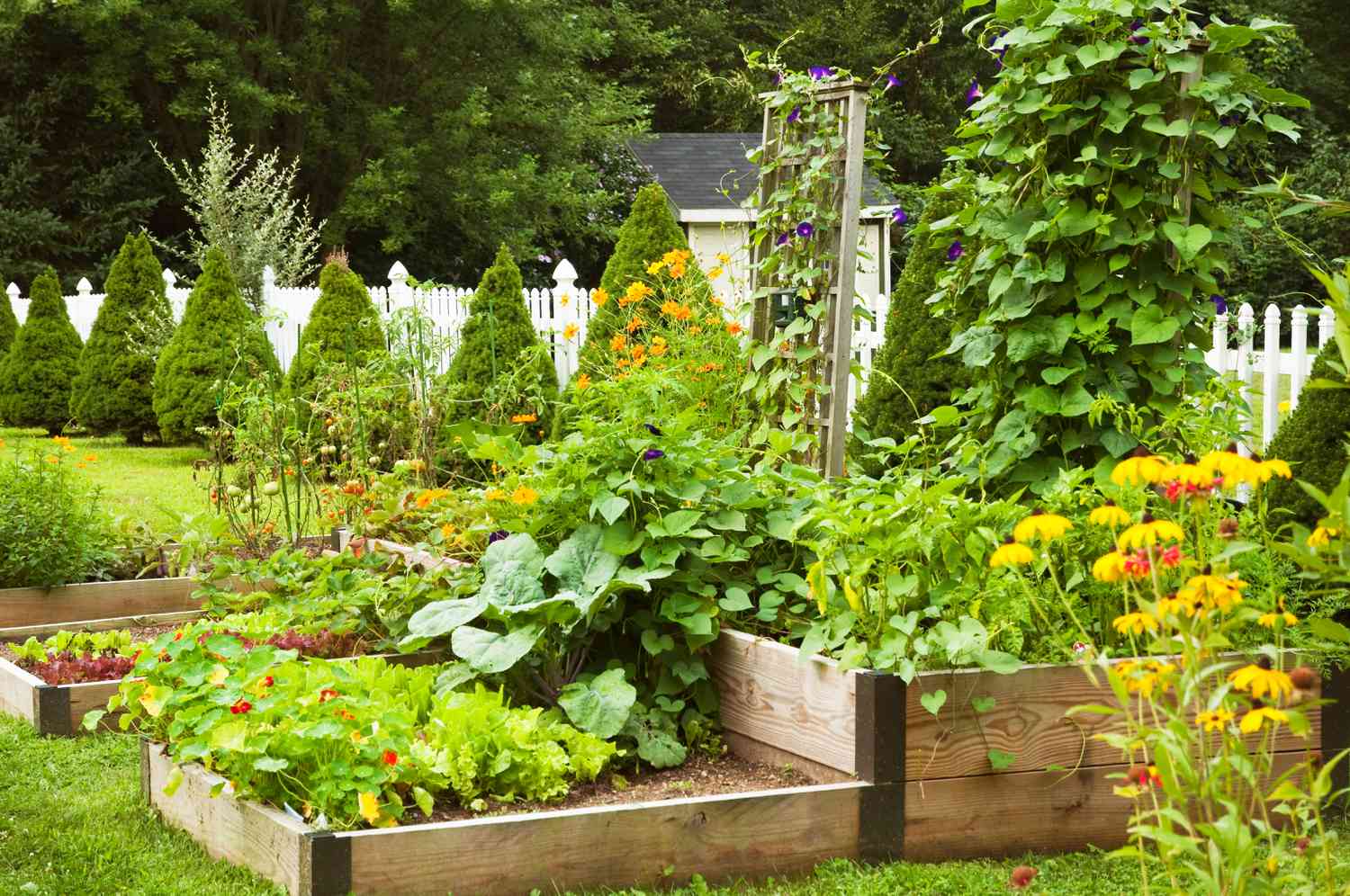 home garden