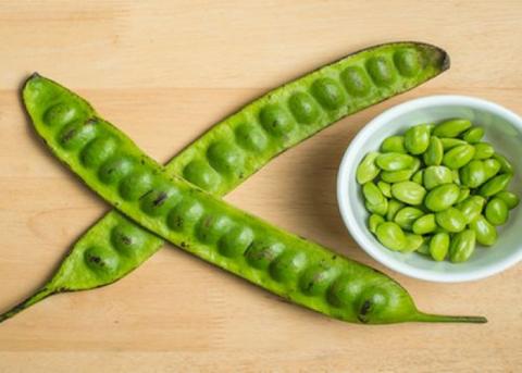 မျောက်ငိုသီး