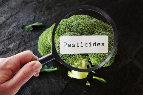 ပိုးသတ်ဆေးဓာတ်ကြွင်း