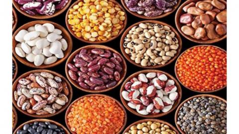 မျိုးစေ့များ