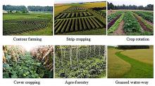 agronomic measures of soil and water conservation