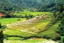 တောင်စောင်း