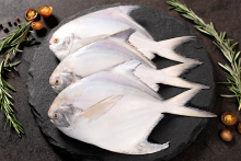 ငါးမုတ်