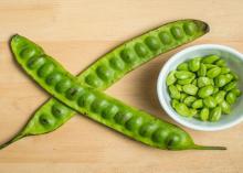 မျောက်ငိုသီး