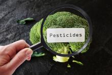 ပိုးသတ်ဆေးဓာတ်ကြွင်း