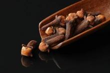 လေးညှင်း